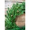 24” Just Cut Spruce Wreath Fresh, Lush & Perfect for Holiday Decor